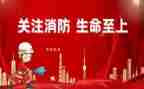 2024年消防年终个人总结精选6篇