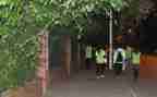 小学2024年学校工作总结推荐5篇