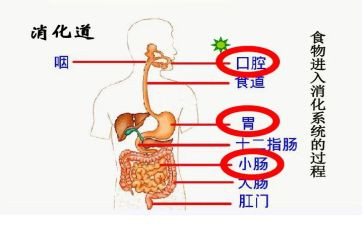 消化内科的个人总结6篇