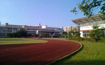 学校庆祝活动作文8篇