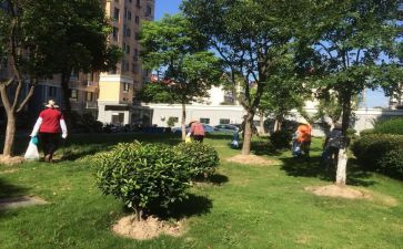 2024年小区物业工作计划模板5篇