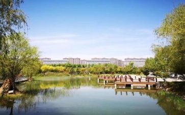2024年校园安全总结模板8篇