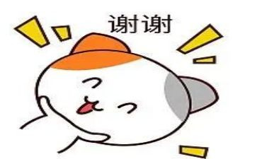 我想说谢谢您作文8篇