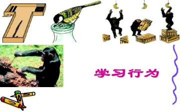 员工违规行为心得体会8篇