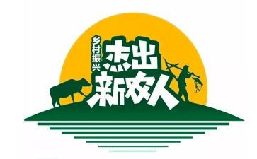 建设新农村调查报告6篇