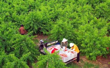 新农村的心得体会6篇