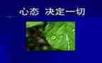 积极心态的作文8篇