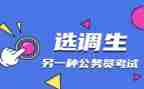2024年选调生个人总结5篇