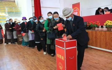 县两委选举工作总结8篇