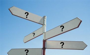 鹰的选择读后感7篇
