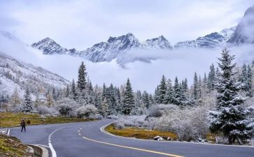 雪识字教案最新6篇