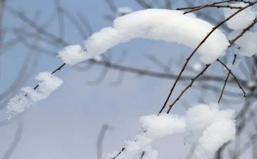 雪读后感最新8篇