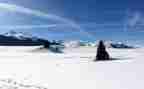雪的读后感400字最新7篇