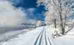 《雪国》读后感800字5篇