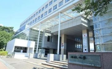 大学部门的工作总结最新8篇