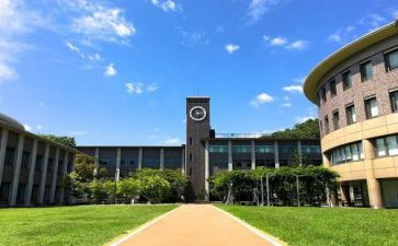 大学部门的工作总结7篇