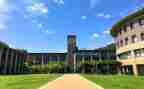 大学部门工作总结报告5篇