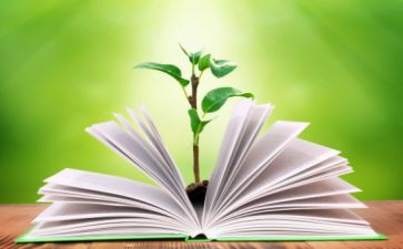 二年级上数学教学工作总结最新6篇