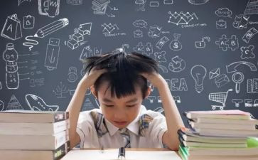 观大学生求职的心得体会8篇