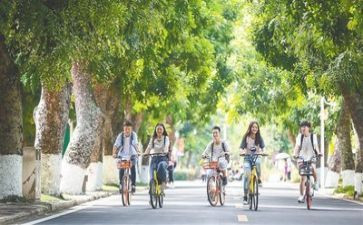 2024年学生会个人总结优秀5篇