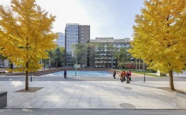 学校来了说心得体会模板5篇