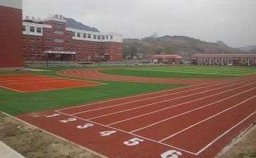 观看蓝学校心得体会8篇