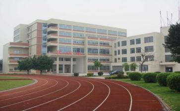 2024学校校长述职报告6篇