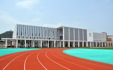 关于学校的活动总结8篇
