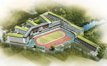 学校的调研报告模板5篇