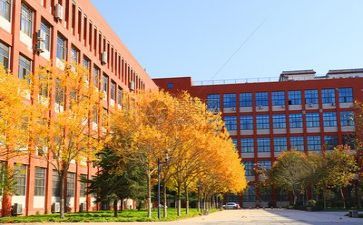 学校和育心得体会参考7篇