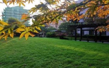 学校实习工作总结优秀8篇