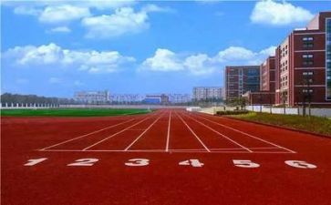 学校的调研报告7篇