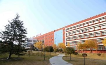 学校开展活动总结报告7篇
