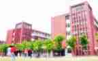 学校校长年度个人总结7篇