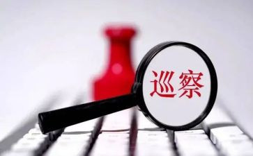 2024巡察组长述职报告5篇
