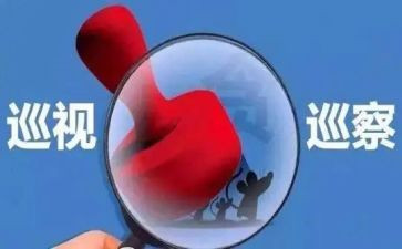 县巡察工作总结8篇