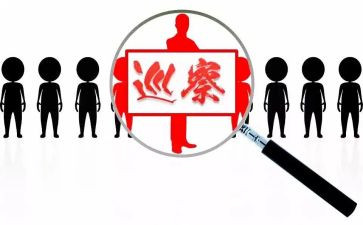 巡巡察五年工作总结8篇