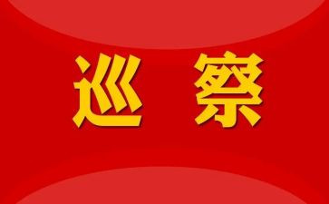 巡察工作汇报汇报材料7篇