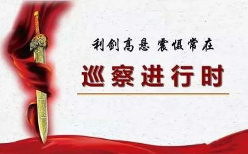 个人巡察组工作总结5篇