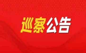个人巡察工作总结总结7篇
