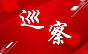 2024年县委巡察工作总结8篇