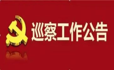 参加巡察组工作个人总结7篇