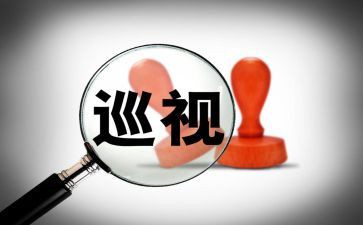 巡查个人总结5篇