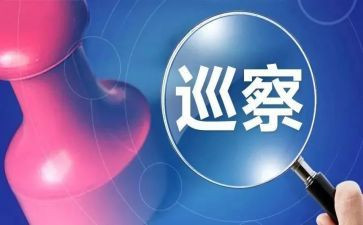 巡查组巡查的心得体会5篇