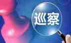 巡察组长工作总结7篇