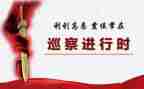 个人巡察组工作总结5篇