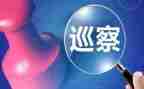 安全生产工作巡查工作报告5篇