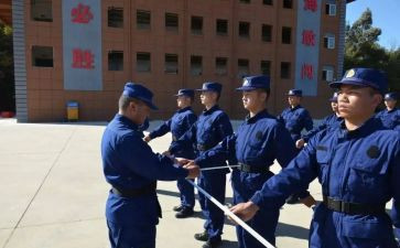 职业培训学校年度工作总结8篇