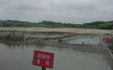 养殖场租赁合同优秀8篇