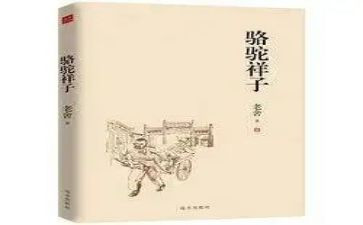 树的样子作文300字5篇